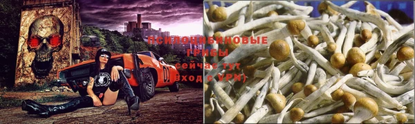 прущая мука Баксан
