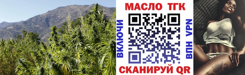 ТГК гашишное масло  mega ссылка  Отрадный 