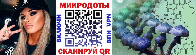 Псилоцибиновые грибы прущие грибы  Отрадный 