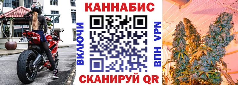 Каннабис марихуана Отрадный